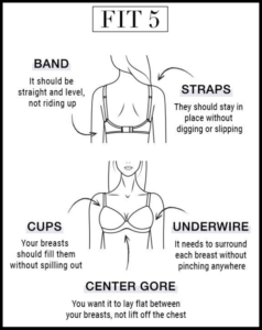 Bra fit