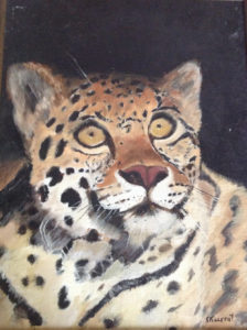 Cheetah portrait Susan Kurnit